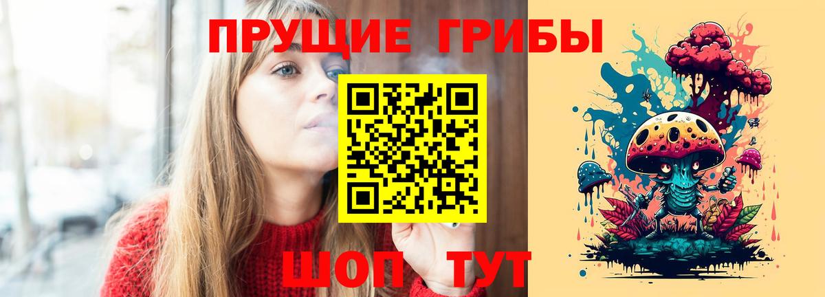 Галлюциногенные грибы Cubensis Светлоград